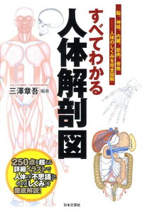 楽天ブックス すべてわかる人体解剖図 脳 神経 内臓 筋肉 骨格ー人体のしくみを完全図解 三沢章吾 本 楽天ブックス すべてわかる人体解剖図 脳 神経 内臓 筋肉 骨格ー人体のしくみを完全図解 三沢章吾 本